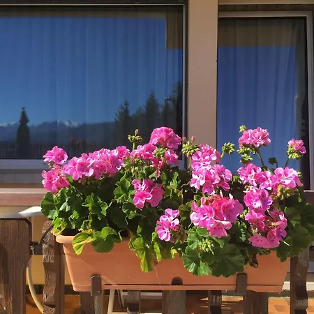 アデルドラド 3*